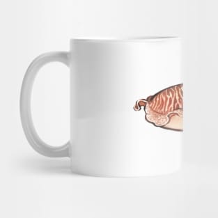 Cuttlefish Mug